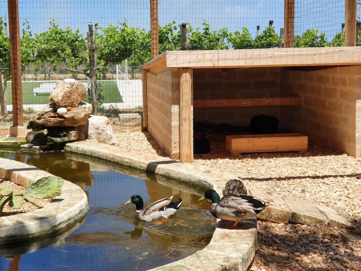 Masseria Agrituristica San Giorgio Vakantieboerderij