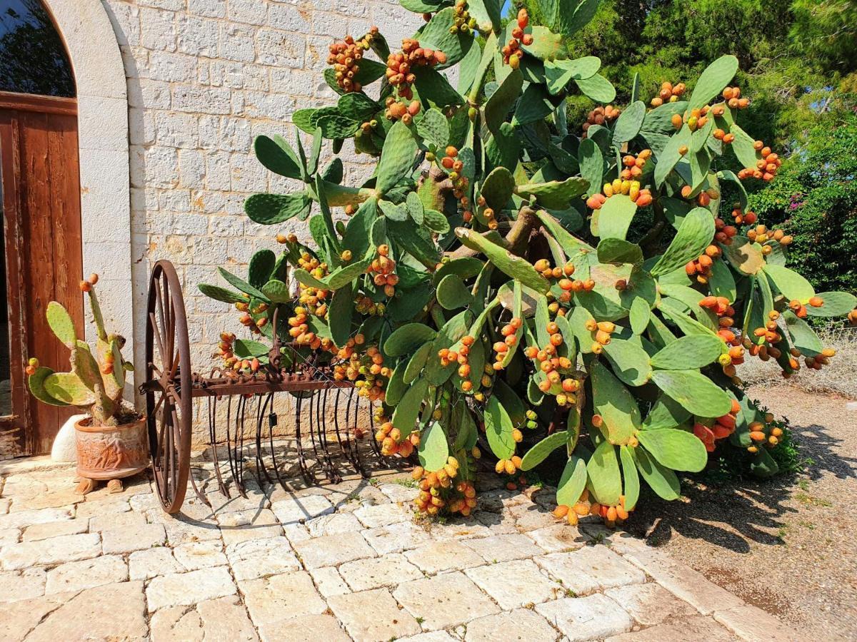 Masseria Agrituristica San Giorgio *